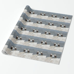 Papier Cadeau Amusants aigles et mouettes