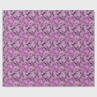 PAPIER CADEAU AMUSER