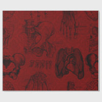 Anatomie des crémson et des squelettes noirs