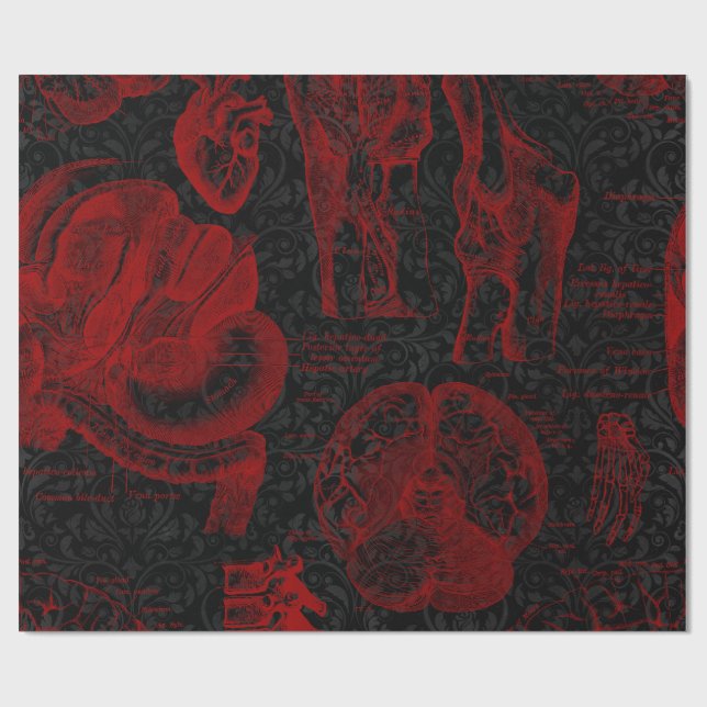 Papier Cadeau Anatomie du Vampyre à motifs Crimson et Damas Noir (Plat)