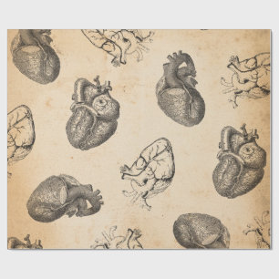 Papier Cadeau Anatomie Vintage 