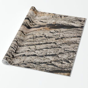 Papier Cadeau Ancien motif de tronc