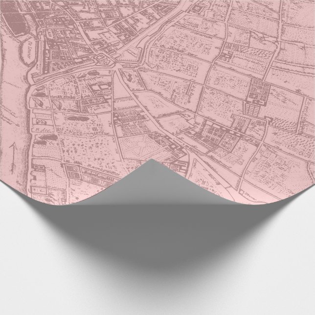 Papier Cadeau Ancien Plan Paris Mauve Lilac Blush Pink Royal Map (Coin)