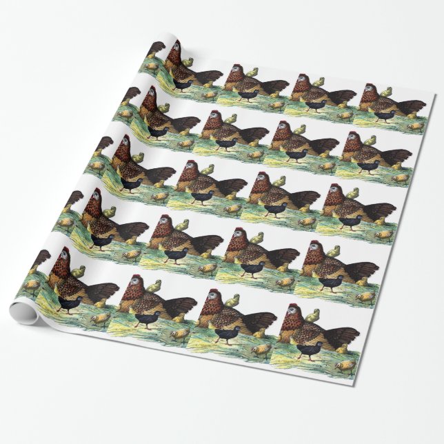 Papier Cadeau Animal de cru de poulets (Déroulé)