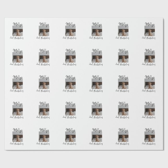 Papier Cadeau Animateur chien chat animal photo moderne simple (Plat)