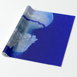 Papier Cadeau Animaux marins