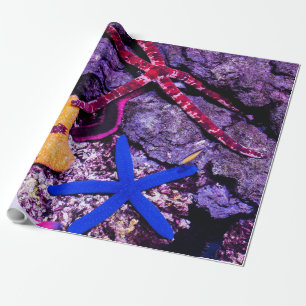 Papier Cadeau Animaux marins