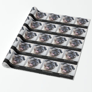 Papier Cadeau Anniversaire d'amusement, carlin mignon, enveloppe