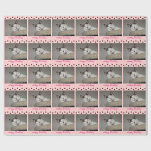 Papier Cadeau Anniversaire et Empreintes de pattes de Cat Nap