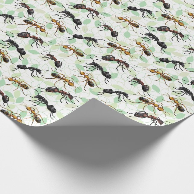Papier Cadeau Ants Insectes Bugs Enveloppement Papier (Coin)