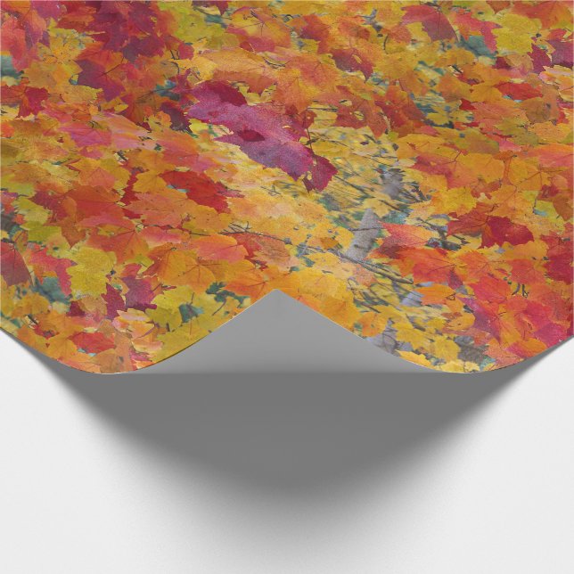 Papier Cadeau Aquarelle botanique orange or rouge Feuilles d'aut (Coin)