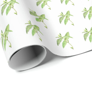 Papier Cadeau Aquarelle de jardin vert plante d'herbe de menthe