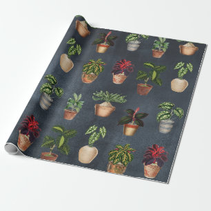 Papier Cadeau Aquarelle Pointe Plante Terracotta Pots Rustique