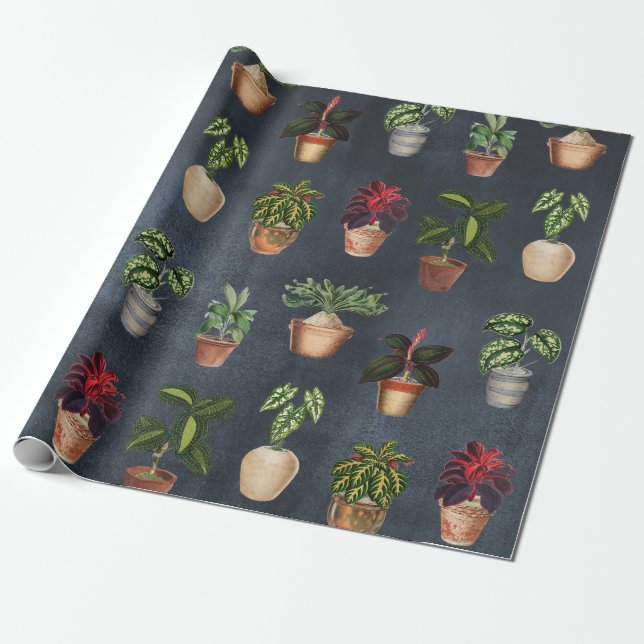 Papier Cadeau Aquarelle Pointe Plante Terracotta Pots Rustique (Déroulé)