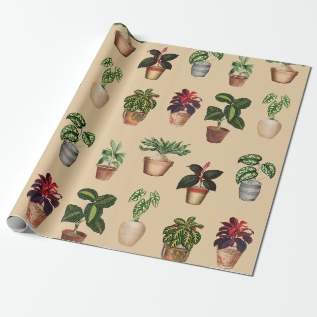 Papier Cadeau Aquarelle Pots Plante Motif Pots en terre cuite (Déroulé)