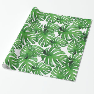 Papier Cadeau Aquarelle Tropical Monstera Feuille Motif