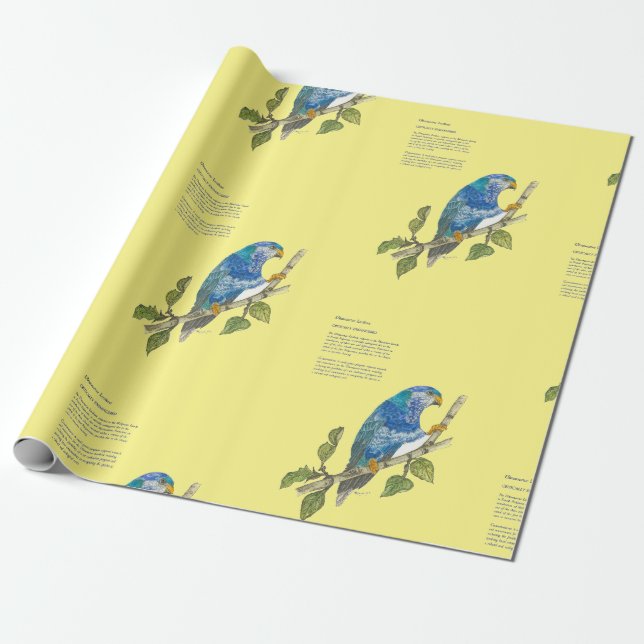 Papier Cadeau Aquarelles en voie de disparition Ultramarine Lori (Déroulé)