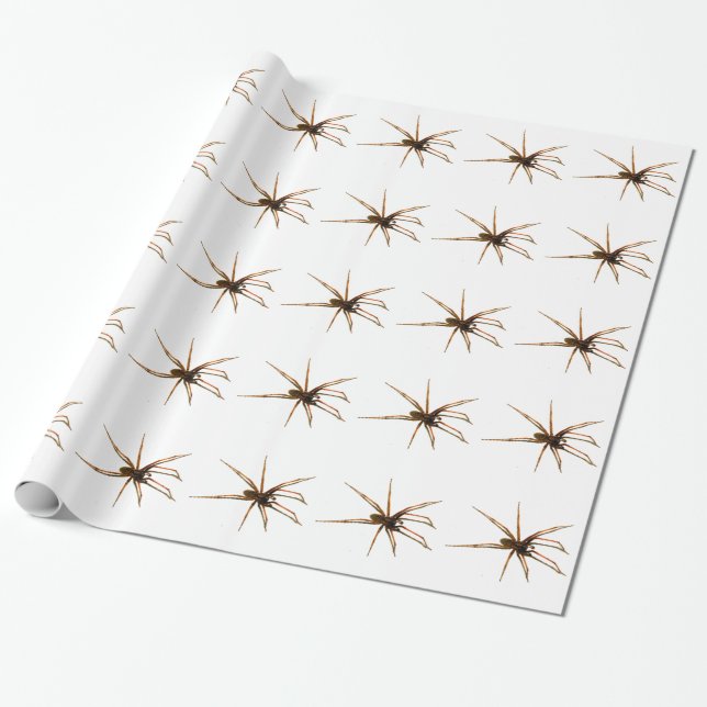 Papier Cadeau Araignée (Déroulé)