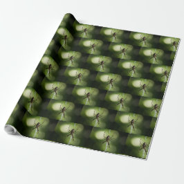 Papier Cadeau Araignée de jardin jaune
