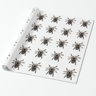 Papier Cadeau Araignée de tarentule réunie par rouge