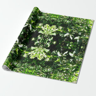Papier Cadeau Arbre à citron