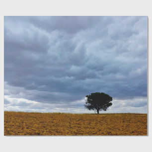 Papier Cadeau Arbre dans un champ vide