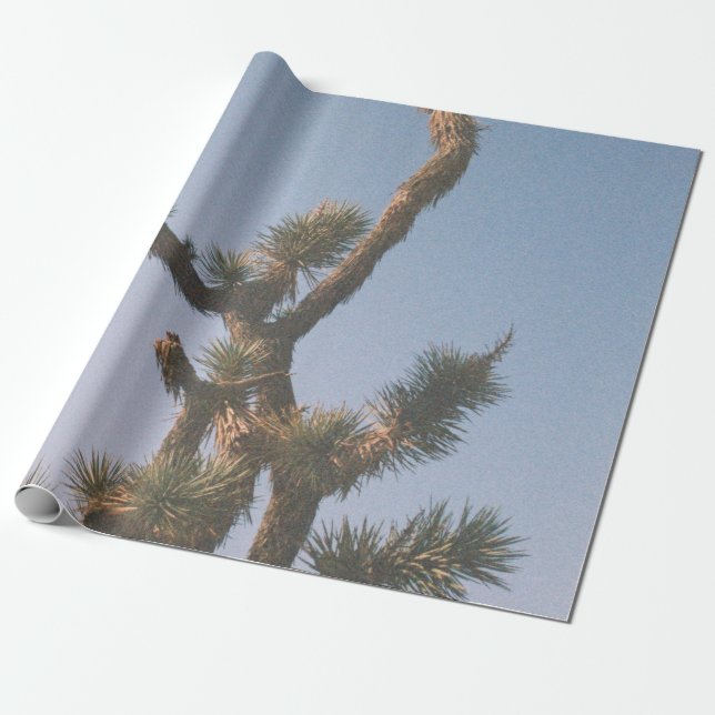 PAPIER CADEAU ARBRE VERT ET BROWN SOUS LE CIEL BLEU (Déroulé)