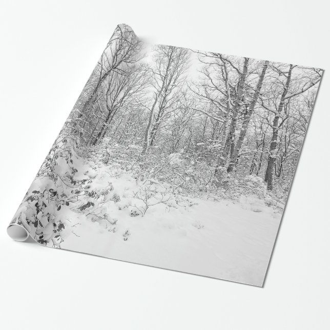 Papier Cadeau Arbres de Milou dans le Poconos (Déroulé)