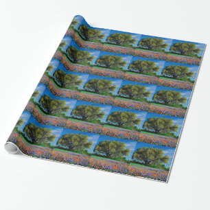 Papier Cadeau Arbres Live Oak parmi des Bluebonnets de Texas