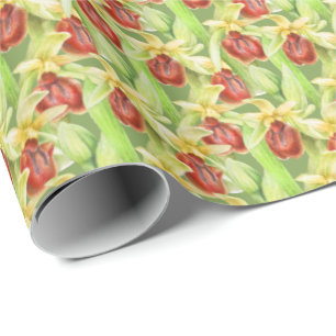 Papier Cadeau Armoire d'art d'aquarelle verte rouge botanique or