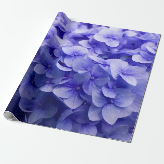 Papier Cadeau Arrière - plan blanc de fleur d'hortensia (Déroulé)