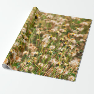 Papier Cadeau Arrière - plan de la nature avec herbe à fleurs, b