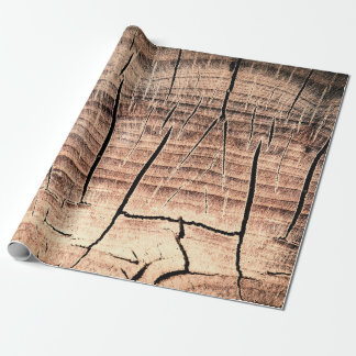 Papier Cadeau arrière - plan d'un stumpabstract en bois, âge, vi