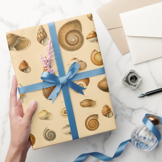 Papier Cadeau Assortiment de coquillages vintages  (Cadeaux)