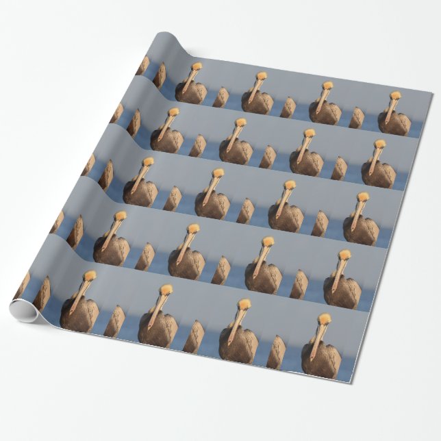 Papier Cadeau Attitude de pélican (Déroulé)