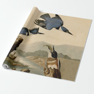 Papier Cadeau Audubon Belted Kingfisher Wildlife Bird