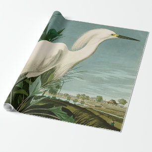 Papier Cadeau Audubon Héron de neige Oiseaux d'aigrettes blanche