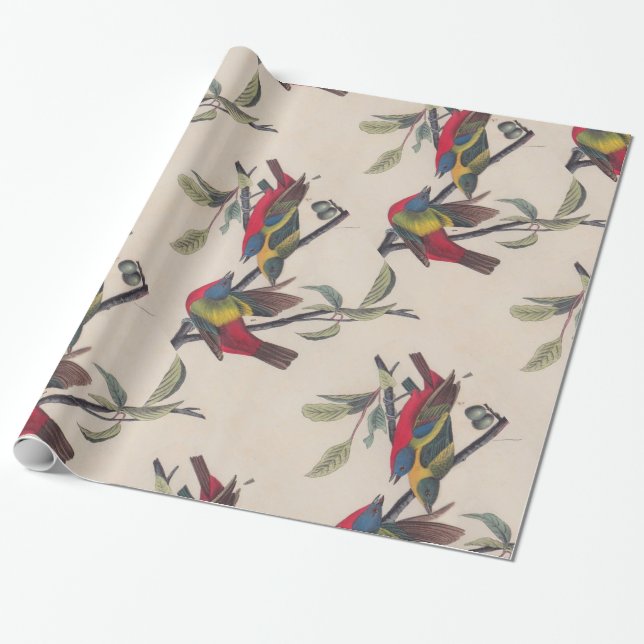 Papier Cadeau Audubon Peint Bunting Bird Wildlife (Déroulé)