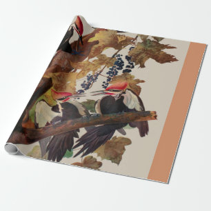 Papier Cadeau Audubon Peinture d'Oiseaux Pic Pilé