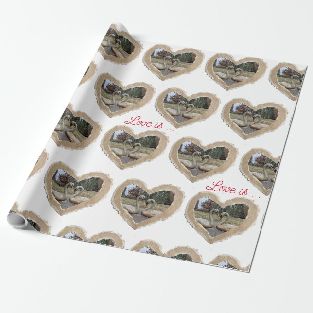 Papier cadeau avec un cœur de cygne (Déroulé)