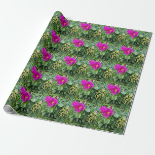 Papier Cadeau Baies de cynorrhodon  