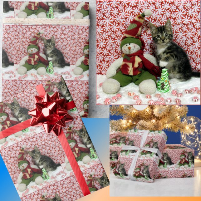 Papier Cadeau Bandit's Snowman Christmas - Papier d'enveloppemen (Créateur téléchargé)