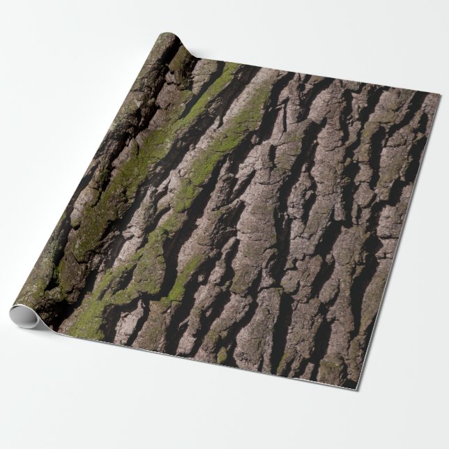 Papier Cadeau Barbier chêne moss tronc bois (Déroulé)