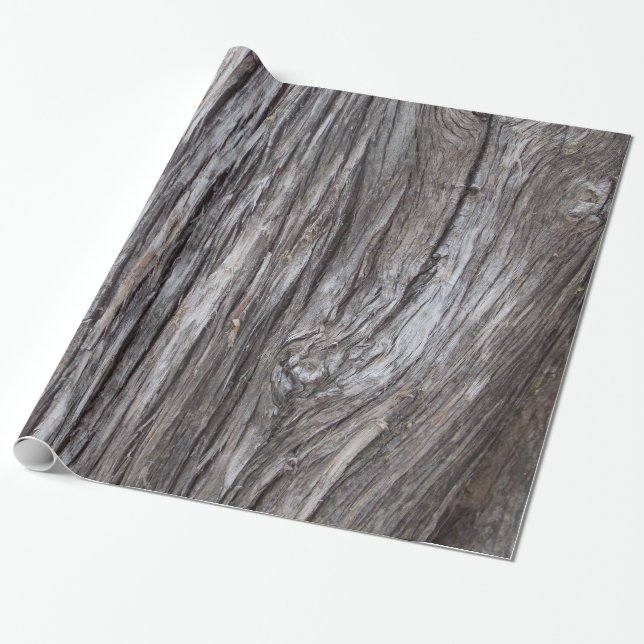 Papier Cadeau Barre d'arbre (Déroulé)