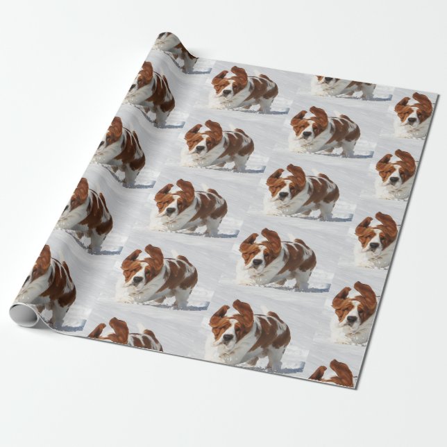 Papier Cadeau Basset Hound Dans Le Papier D'Enveloppement De Nei (Déroulé)