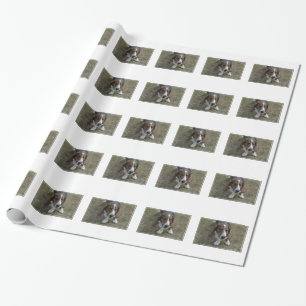Papier Cadeau Basset Hound doux