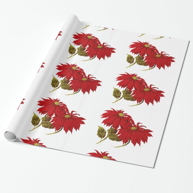 Papier Cadeau Beau dessin rouge de poinsettia (Déroulé)