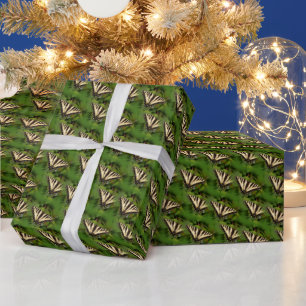 Papier Cadeau Beau papillon de l'Ouest de Tigre Swallowtail