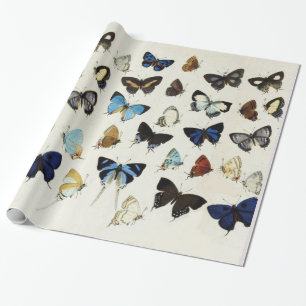 Papier Cadeau BEAU PAPILLONS COLORÉS Beauté Nature Lover