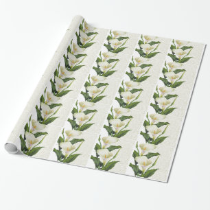 Papier Cadeau Beautiful Calla